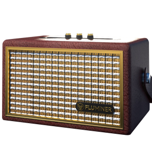 FLUMINER-L2 Litecoin &Dogecoin Miner 1GH/s | BT-MINERS